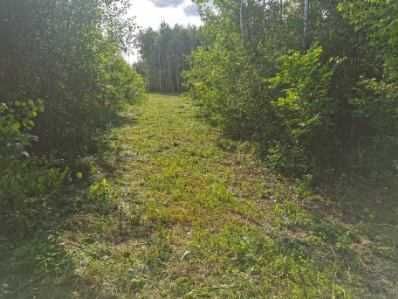 Działka Wodzierady. Zdjęcie 2