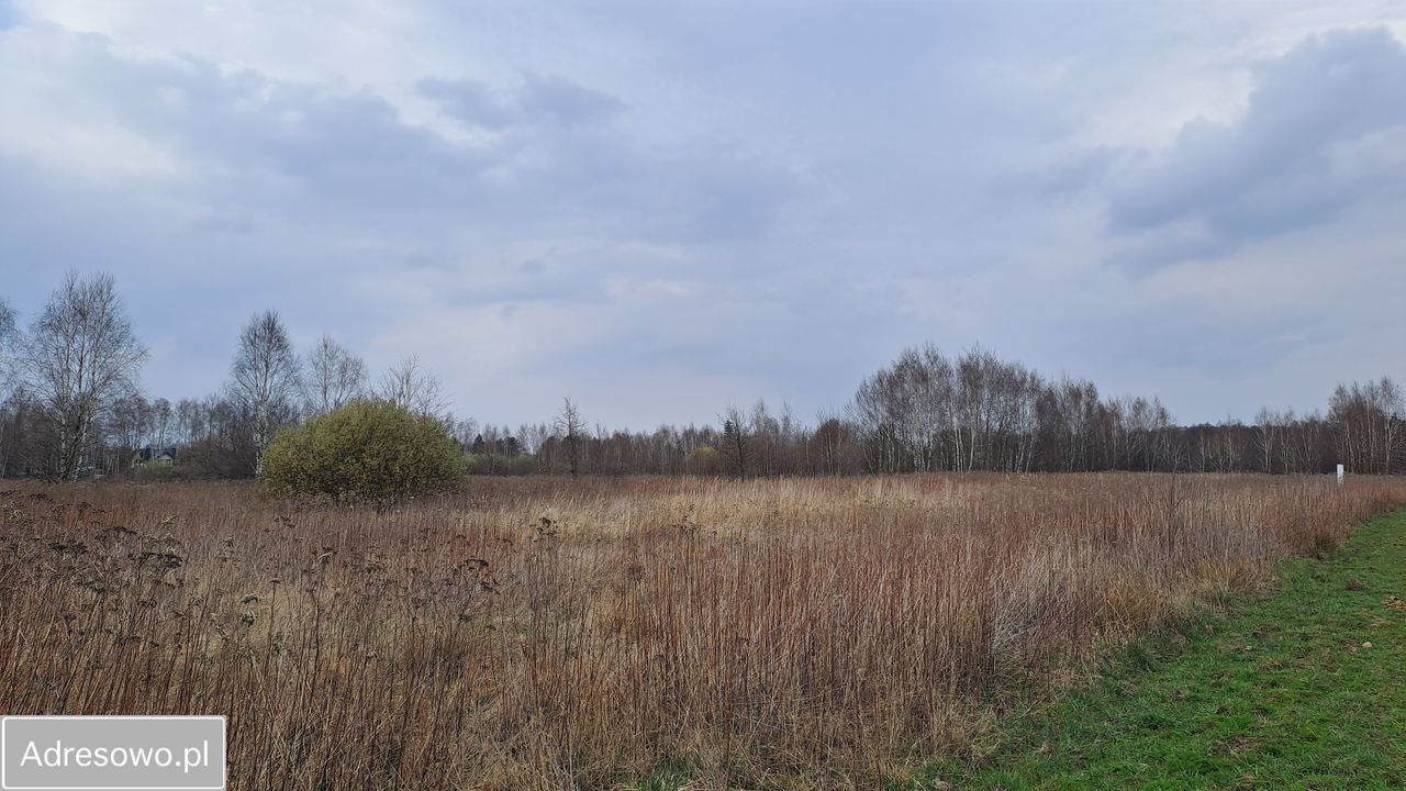 Działka rolno-budowlana Kąck, ul. Myśliwska. Zdjęcie 6