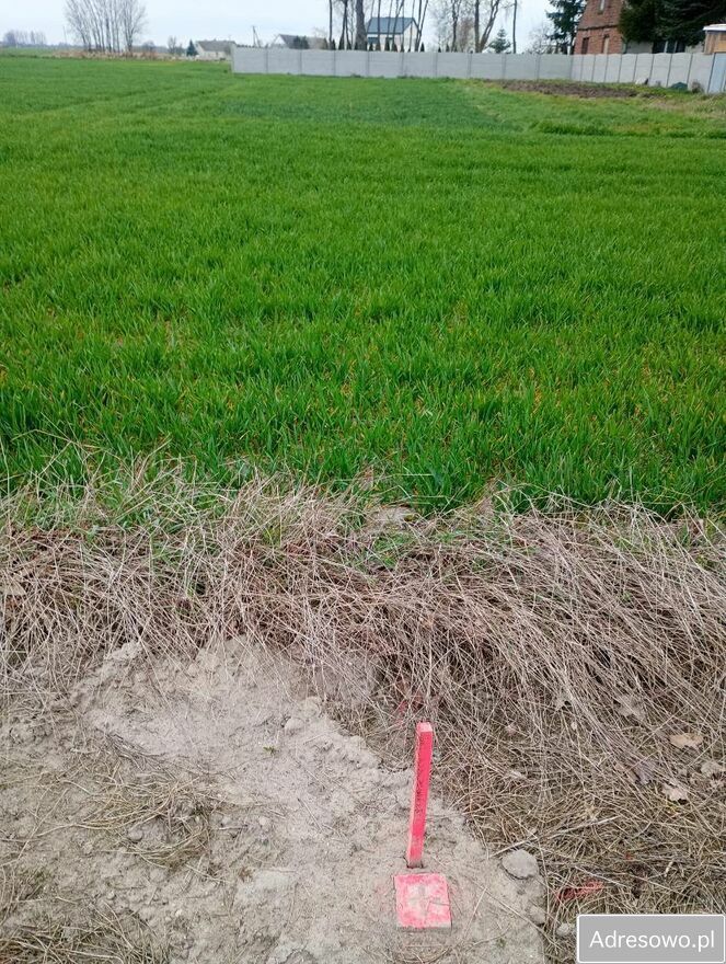 Działka budowlana Józefowo. Zdjęcie 3