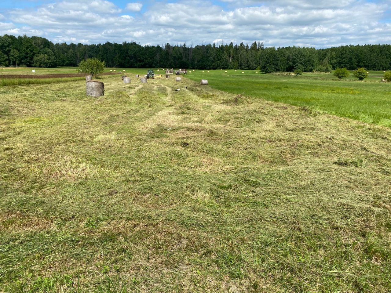dom wolnostojący Krynica. Zdjęcie 4