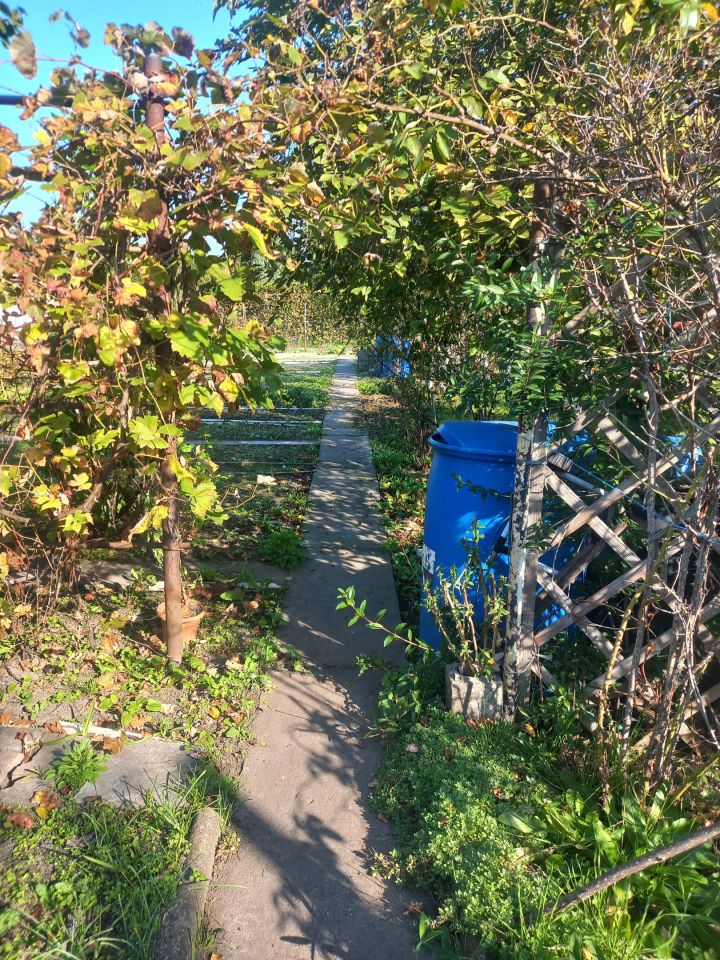 Działka rod Wrocław Szczepin, ul. Starogroblowa. Zdjęcie 4