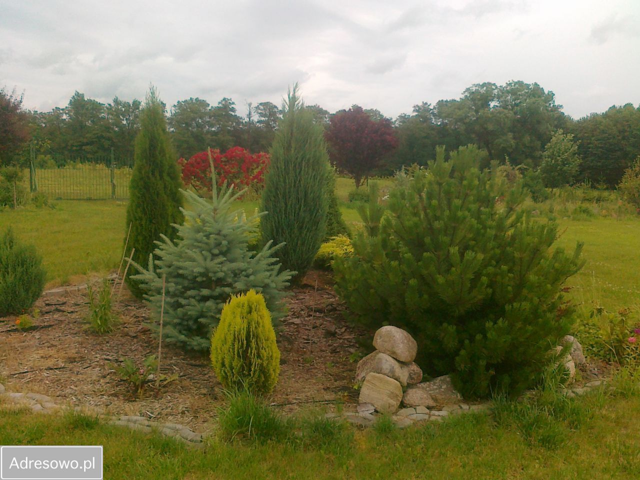 Działka rolna Chrzypsko Małe. Zdjęcie 8