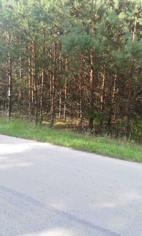 Działka leśna Boiska-Kolonia. Zdjęcie 3