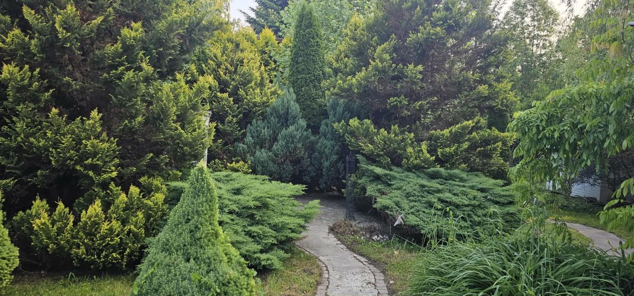 dom wolnostojący, 3 pokoje Haczów. Zdjęcie 11