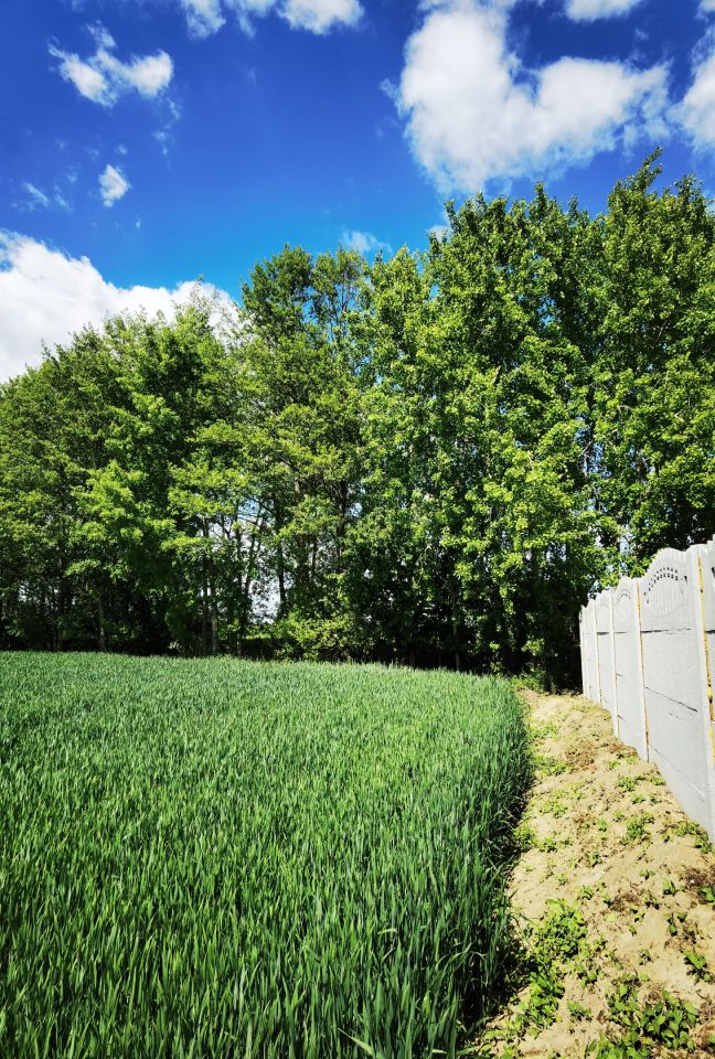 Działka budowlana Nowa Wieś Kącka, Letnia. Zdjęcie 3