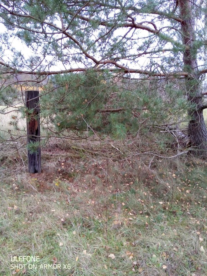 Działka rolno-budowlana Trzebicz Nowy. Zdjęcie 4