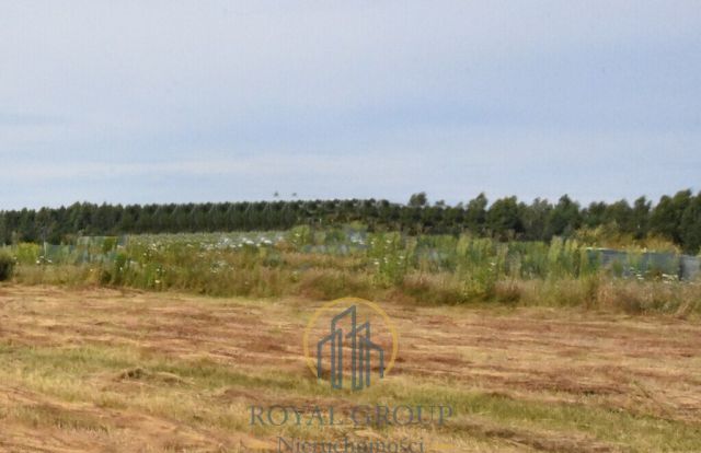 Działka siedliskowa Siedliska. Zdjęcie 2