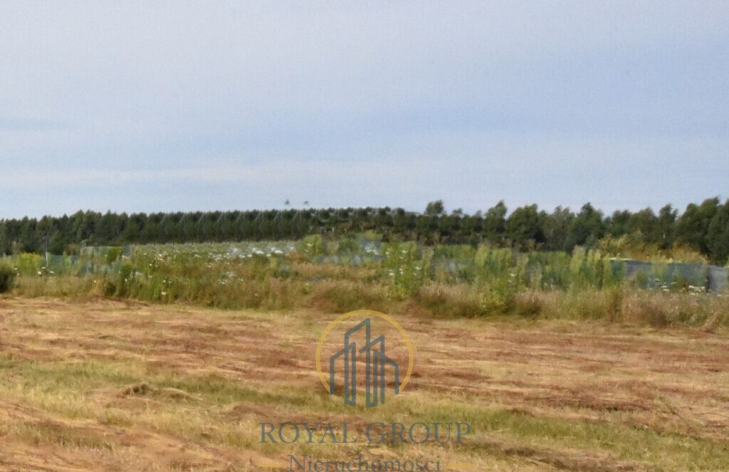 Działka siedliskowa Siedliska. Zdjęcie 2