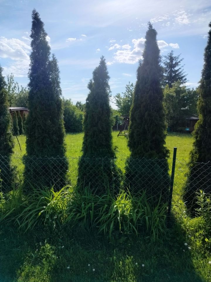 Działka rod Świdniczek. Zdjęcie 2