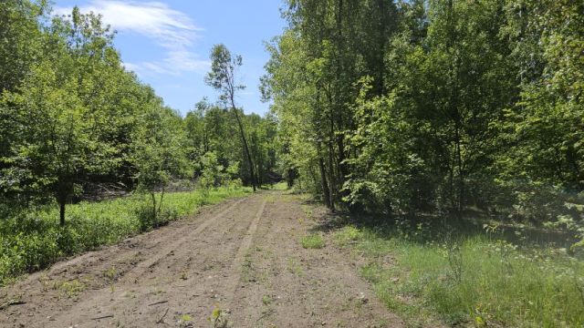 Działka rolna Drochówka. Zdjęcie 5