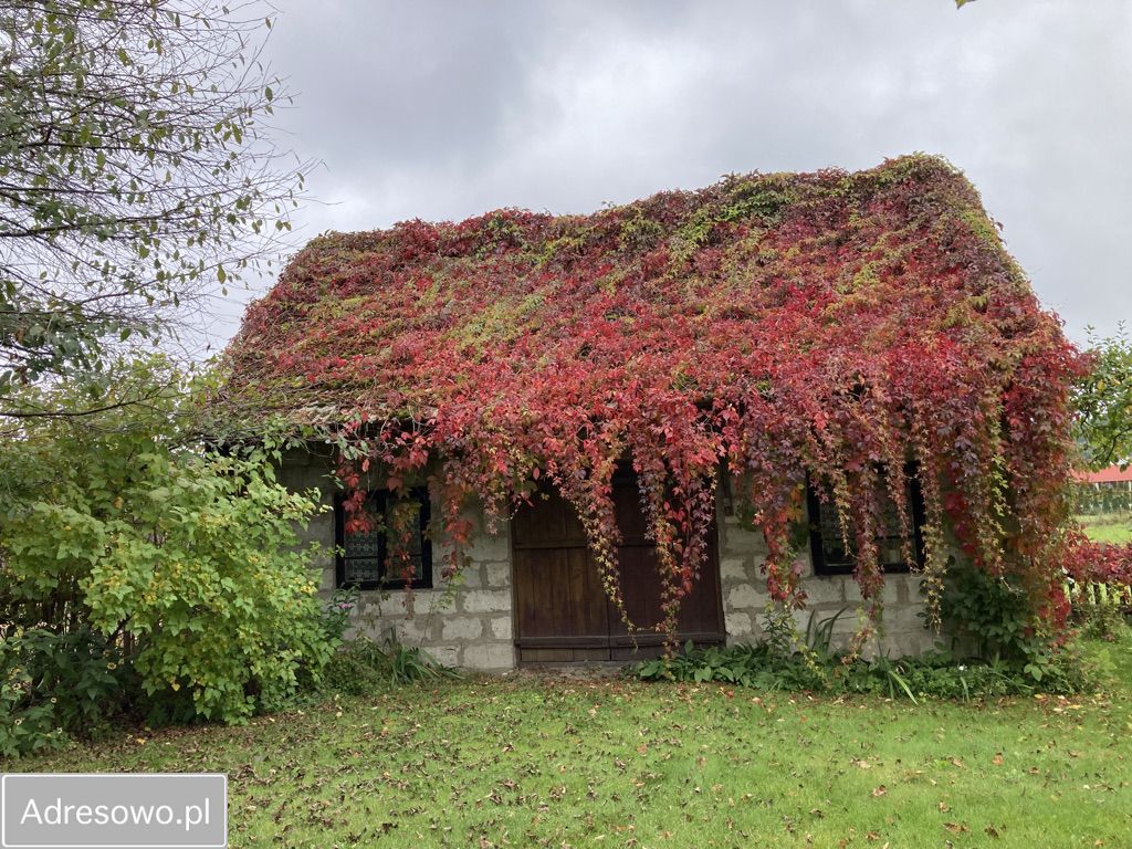 dom wolnostojący, 2 pokoje Wierzchlesie. Zdjęcie 15