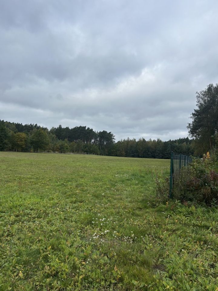 Działka budowlana Gronów. Zdjęcie 2