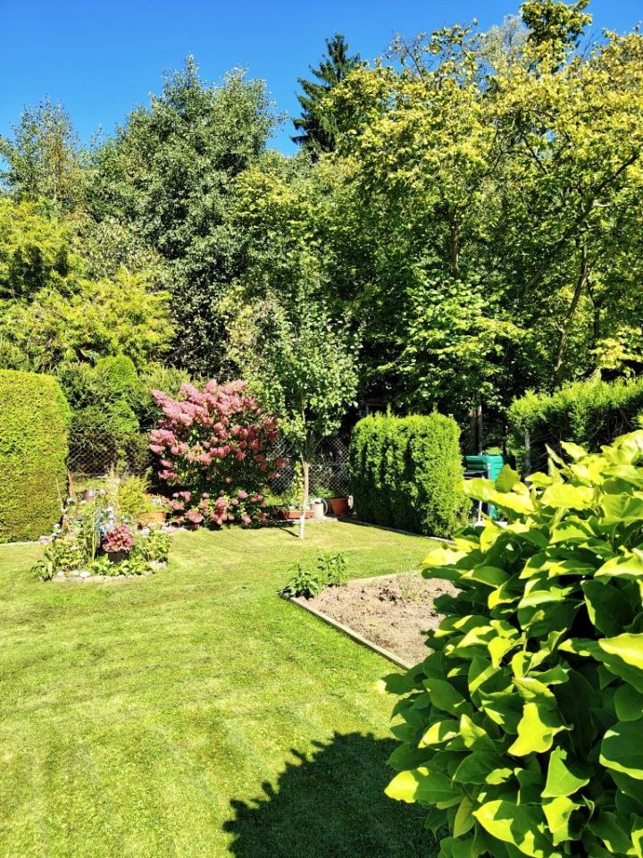 Działka rod Bogatynia. Zdjęcie 7