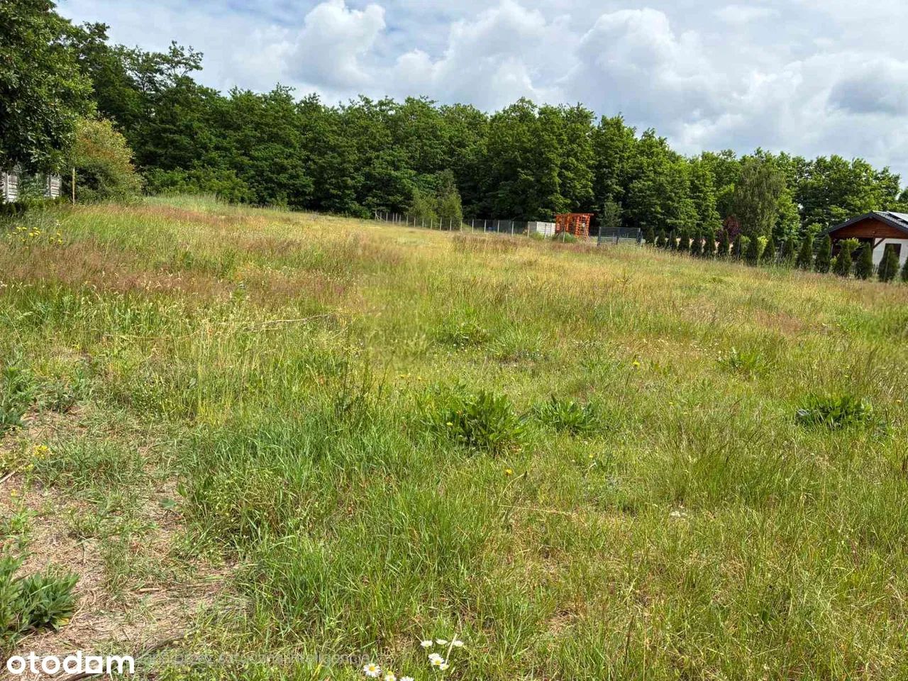 Działka budowlana Gajówka-Kolonia. Zdjęcie 7