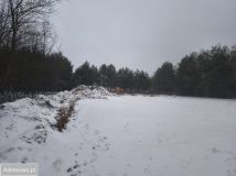 Działka inwestycyjna Kolonia Głowa, ul. Główna. Zdjęcie 4