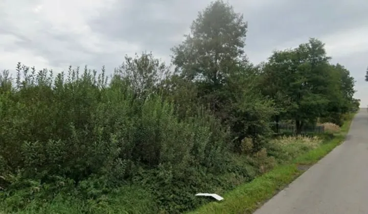 Działka rolna Wielka Wieś