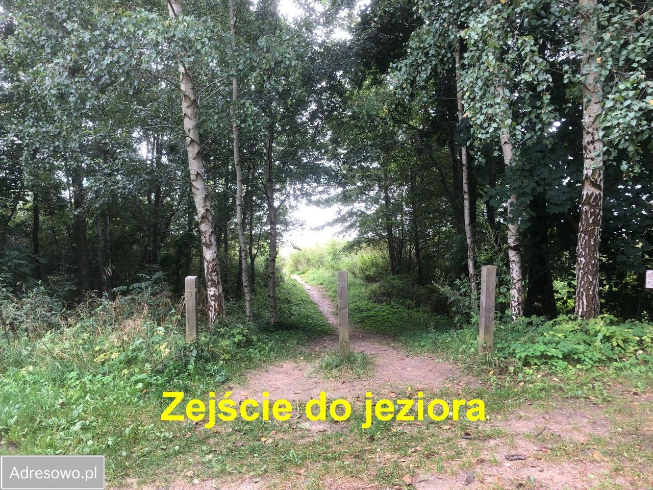 Działka budowlana Brajniki. Zdjęcie 6