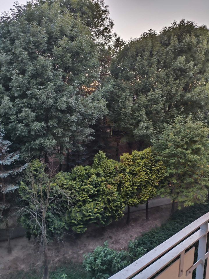 Zdjęcie 8