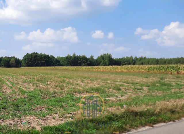 Działka rolna Rudno. Zdjęcie 5