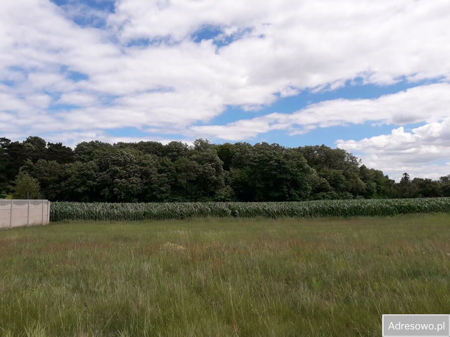 Działka budowlana Żakowo. Zdjęcie 11