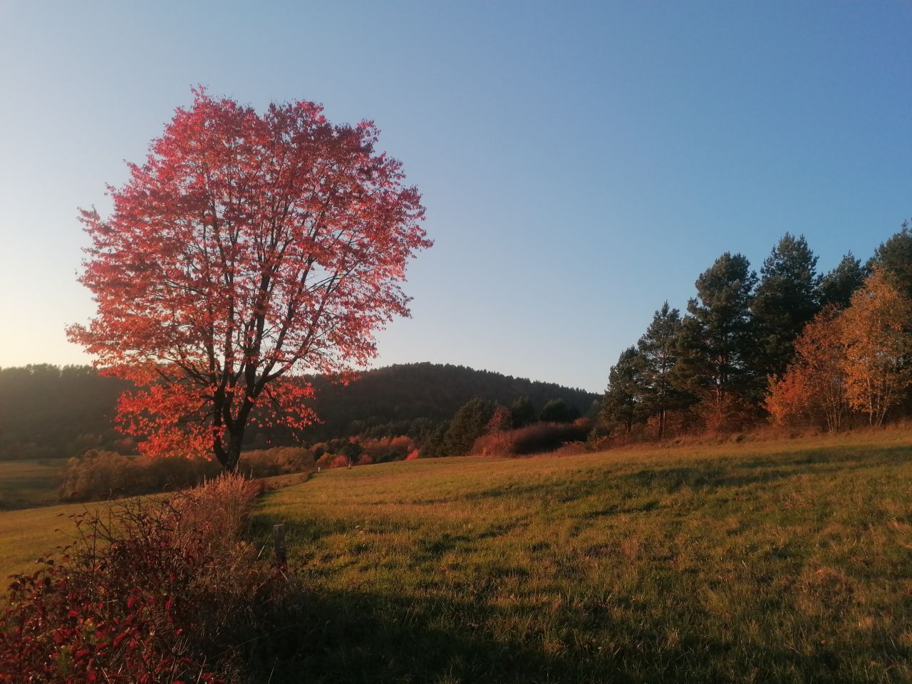 Działka rekreacyjna Rybotycze. Zdjęcie 17