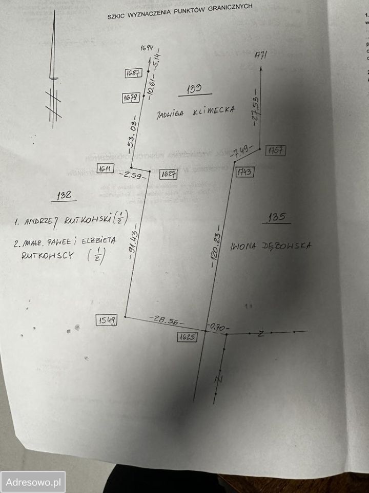 Działka leśna Wola Branicka. Zdjęcie 3