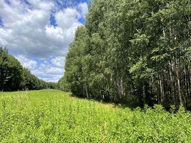 Działka rolna Trzebuska. Zdjęcie 1