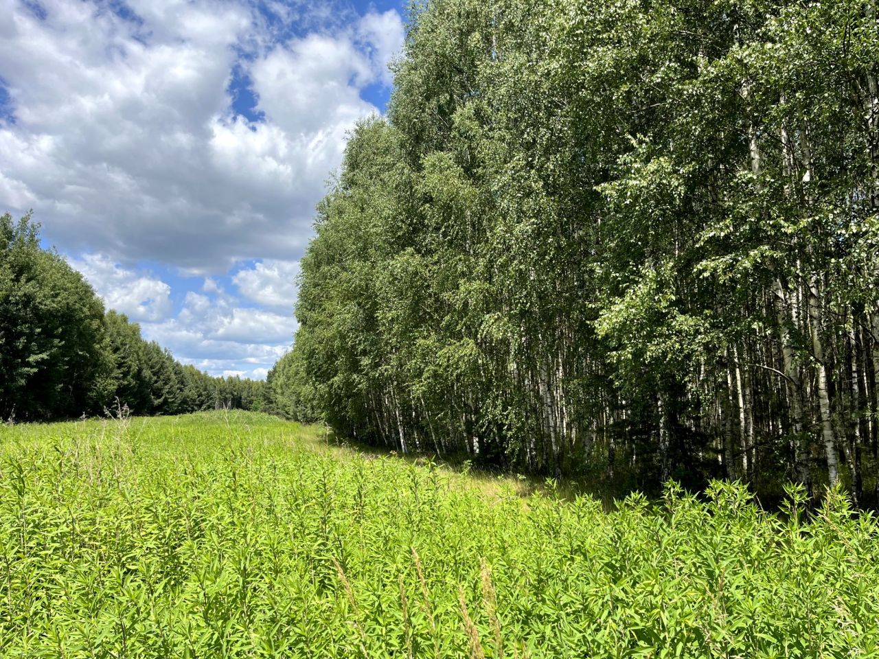 Działka rolna Trzebuska