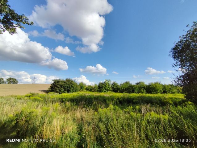 Działka budowlana Klępino. Zdjęcie 1