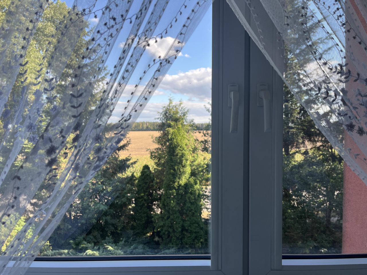 Mieszkanie 5-pokojowe Zbroszki. Zdjęcie 19