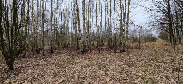 Działka rolna Grzebowilk. Zdjęcie 1