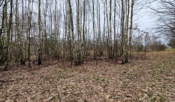 Działka rolna Grzebowilk