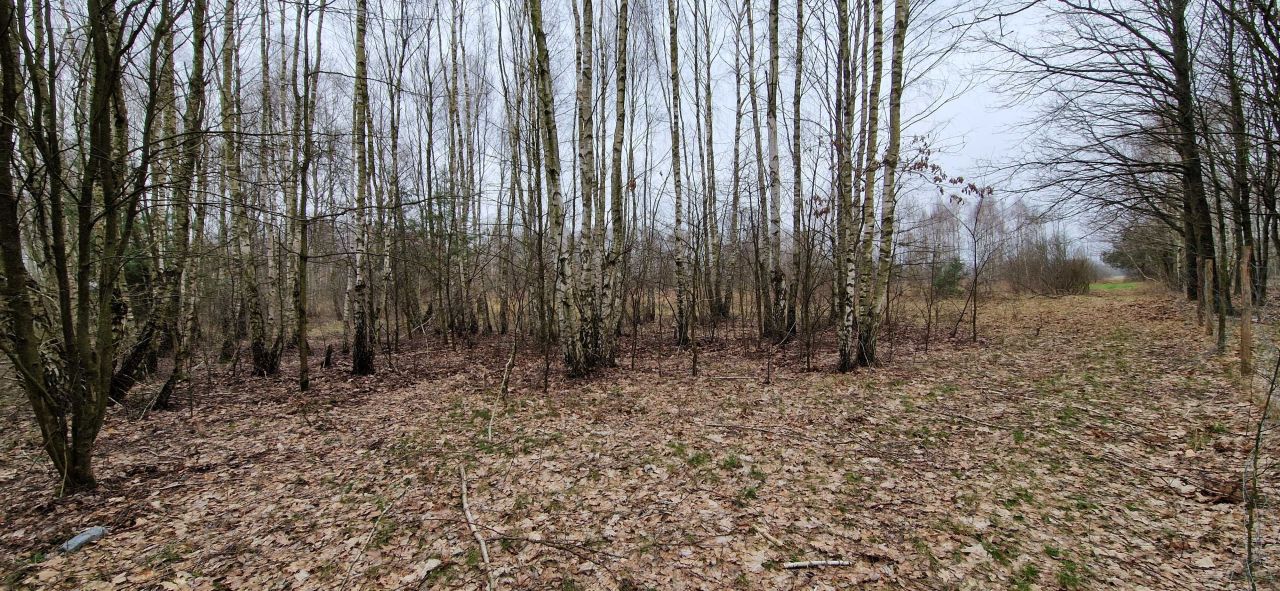 Działka rolna Grzebowilk. Zdjęcie 1