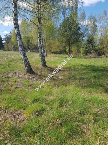 Działka budowlana Budy Mszczonowskie. Zdjęcie 2