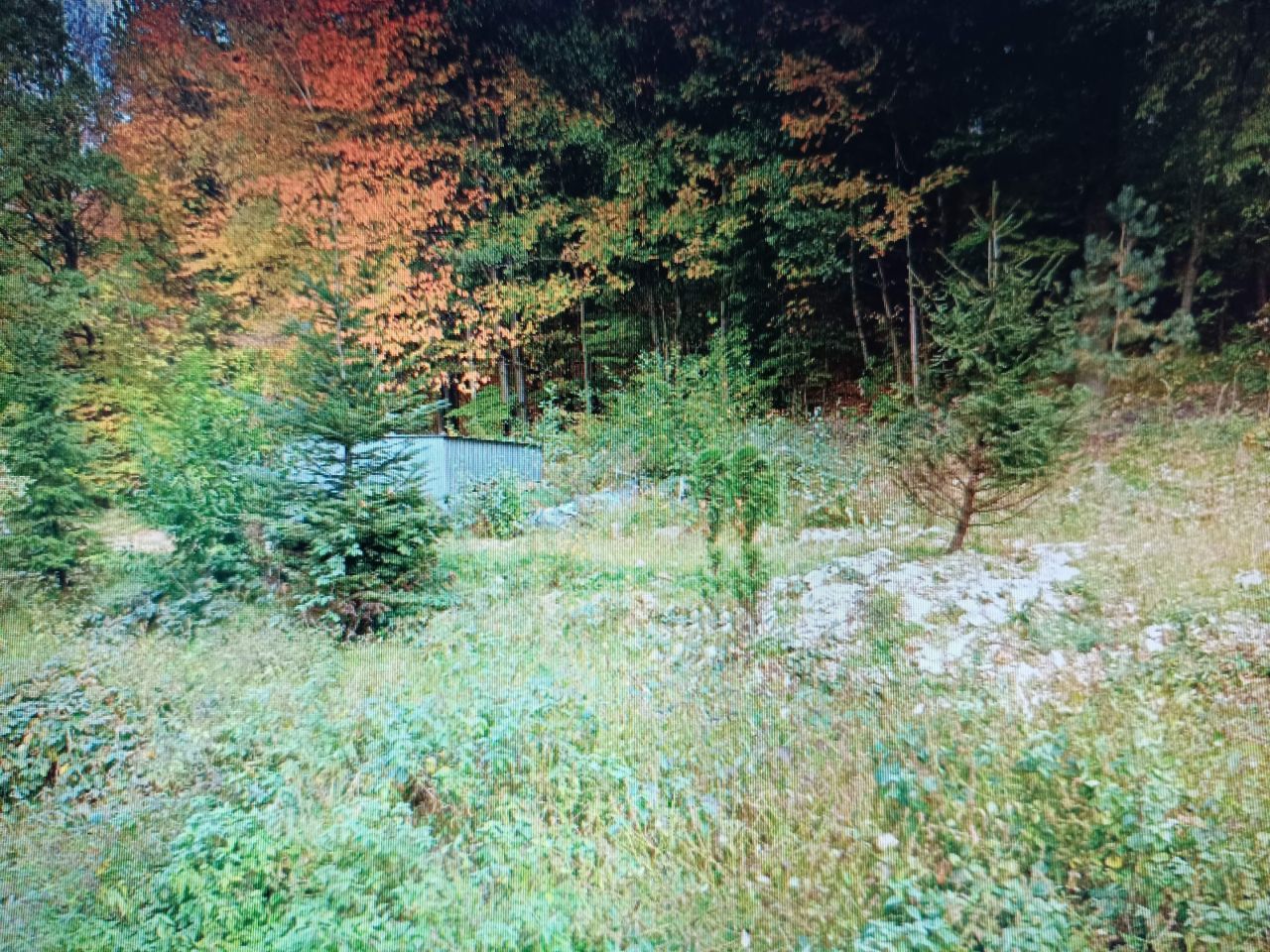 Działka budowlana Zagórnik Skornica, ul. Skornicka. Zdjęcie 8