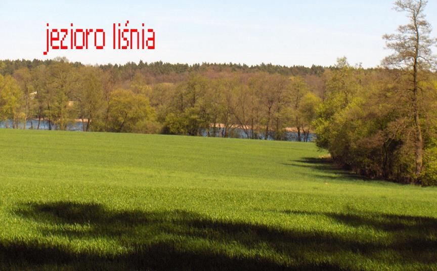 Działka rolna Śródka. Zdjęcie 3