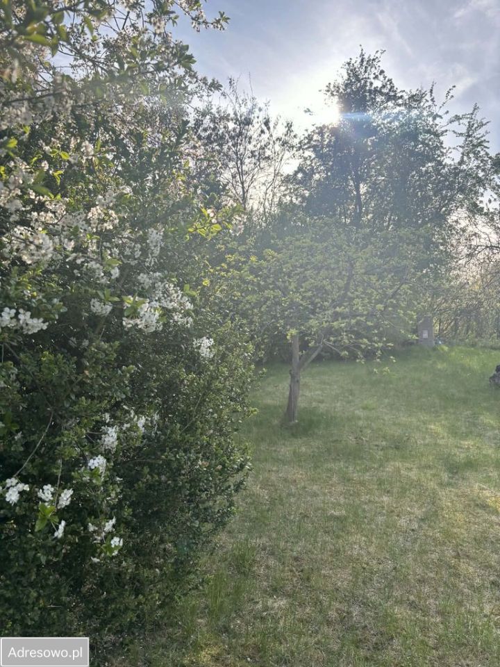 Działka rod Pyrzyce, ul. Niepodległości. Zdjęcie 16