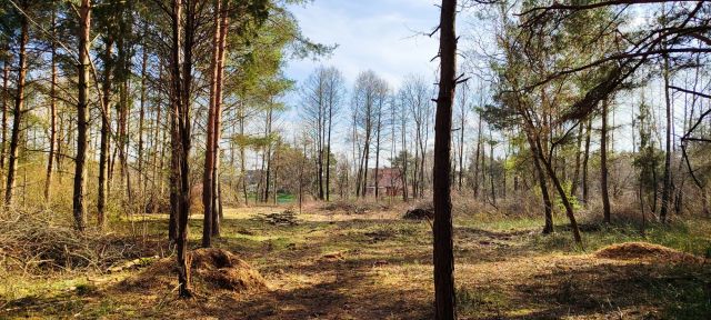 Działka rekreacyjna Pogorzelec. Zdjęcie 1