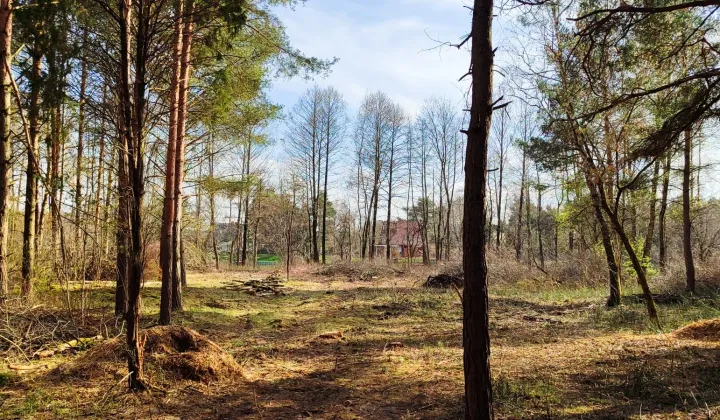 Działka rekreacyjna Pogorzelec