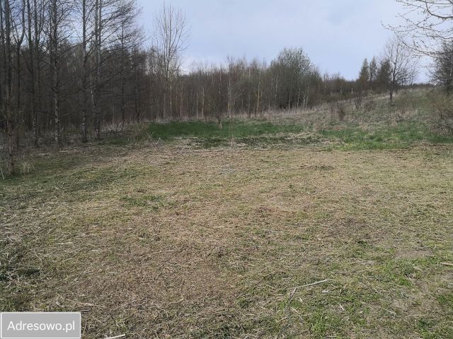 Działka rolno-budowlana Węgielsztyn. Zdjęcie 10