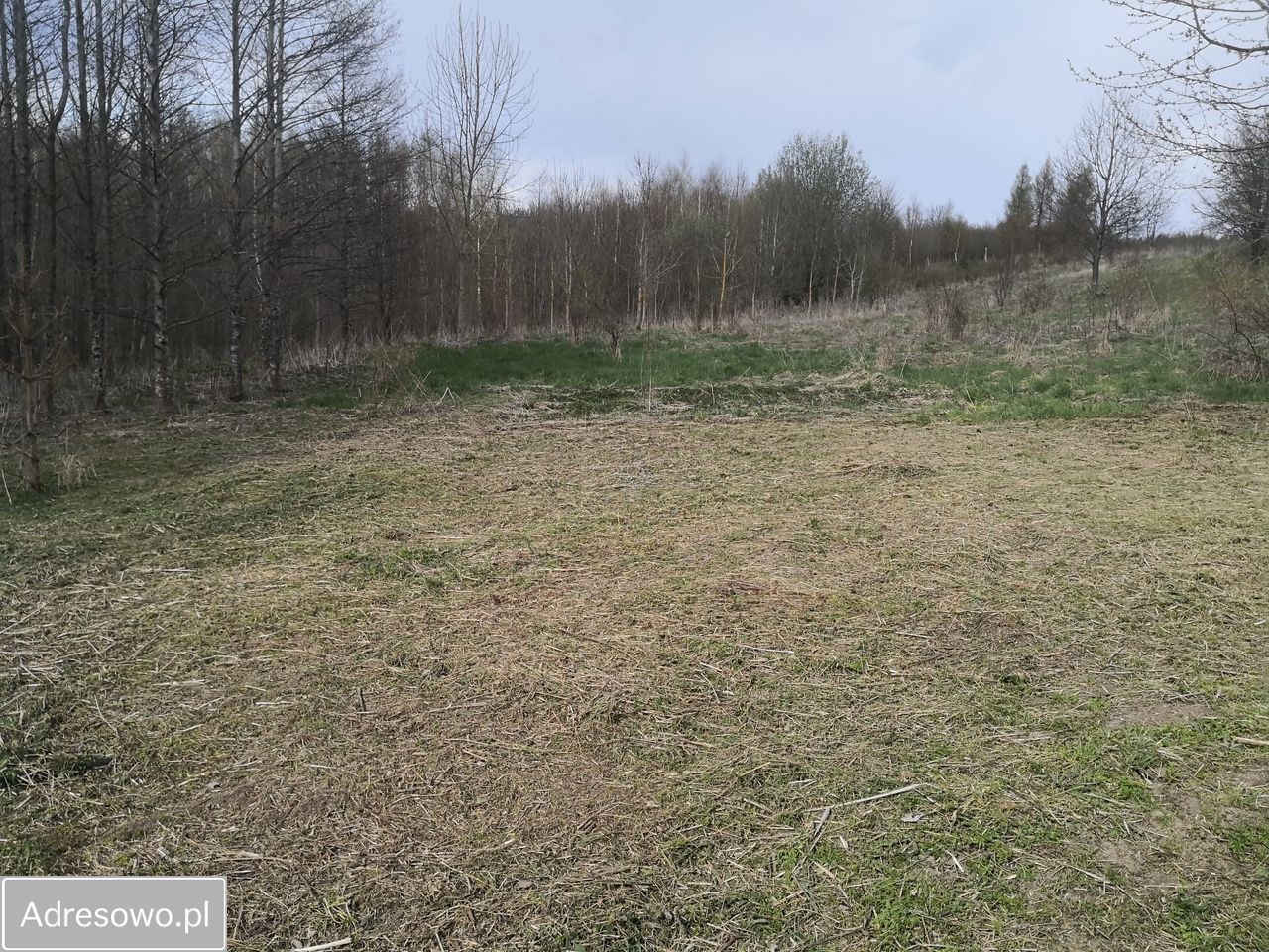 Działka rolno-budowlana Węgielsztyn. Zdjęcie 10