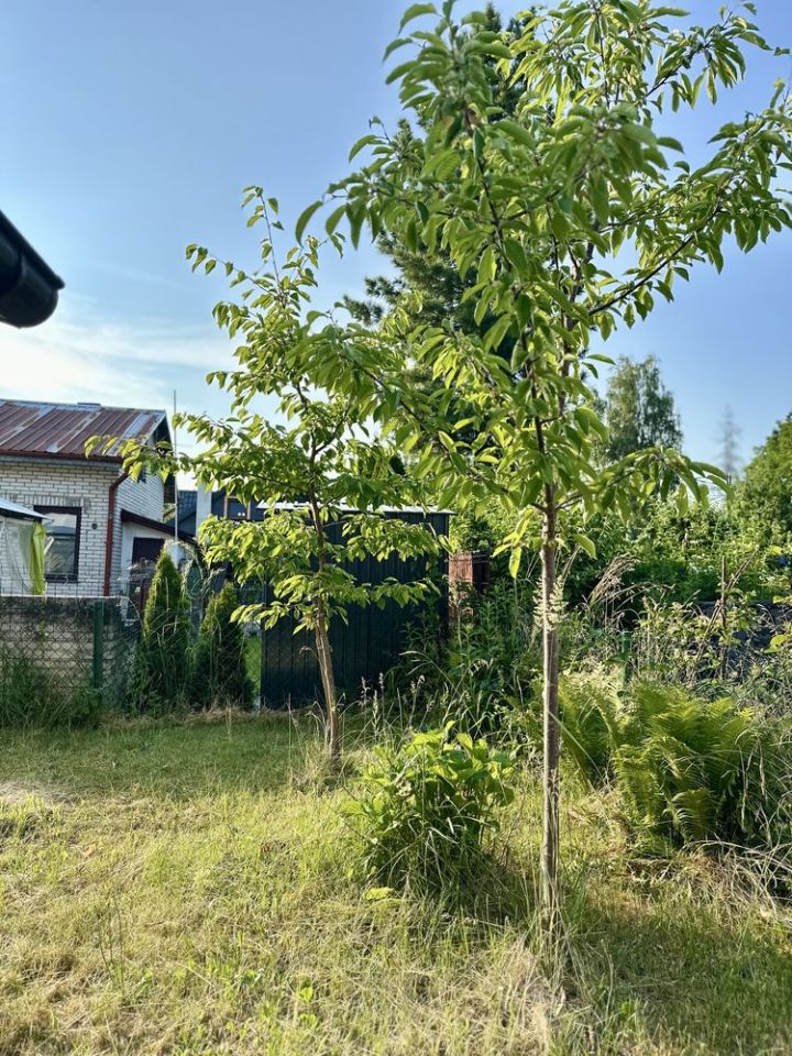 Działka rod Szczaki. Zdjęcie 4