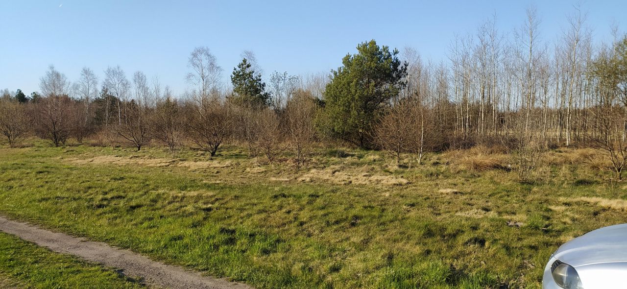 Działka rolna Ludwików. Zdjęcie 2