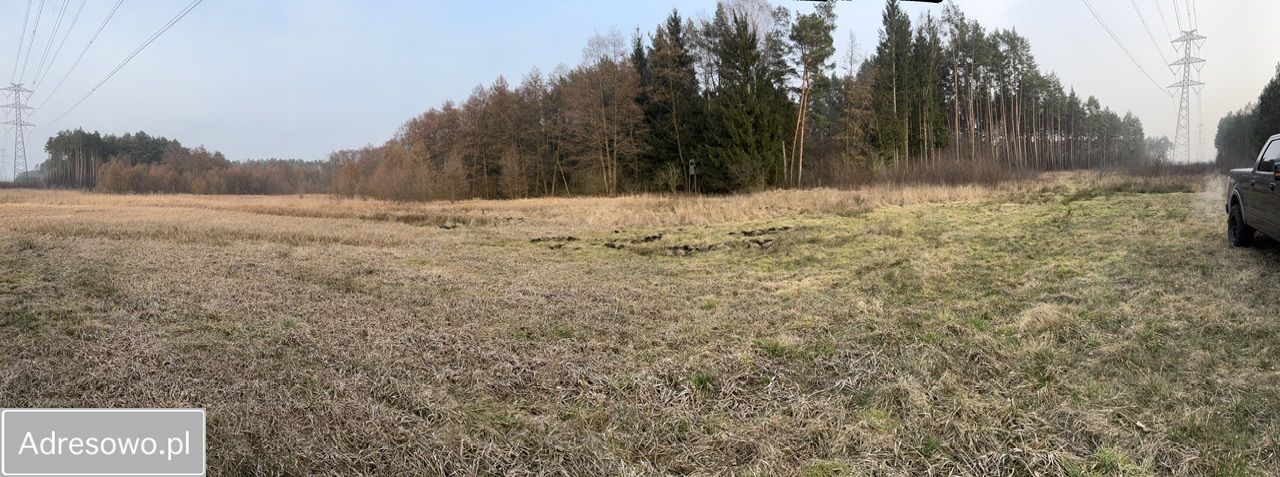 Działka rekreacyjna Bąblin. Zdjęcie 2