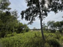 Działka budowlana Kampinos A. Zdjęcie 2