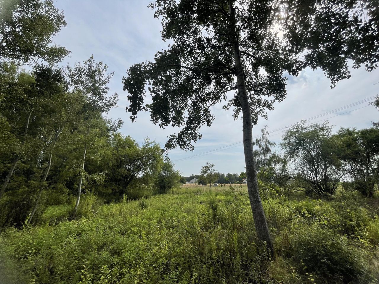 Działka budowlana Kampinos A. Zdjęcie 3