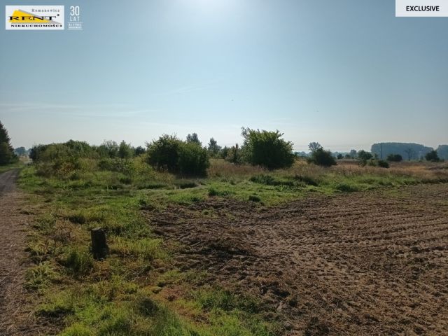 Działka budowlana Chabowo. Zdjęcie 7