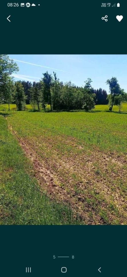 Działka rolna Karłowo. Zdjęcie 3