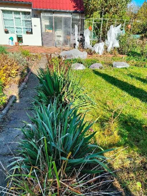 Działka rod Łódź Polesie, ul. Krakowska. Zdjęcie 4