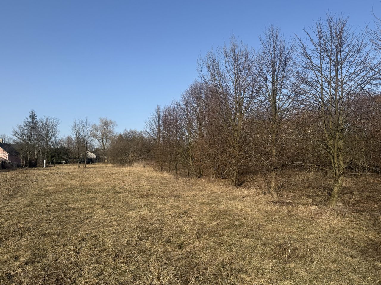 Działka siedliskowa Krzewina, Krzewina. Zdjęcie 13